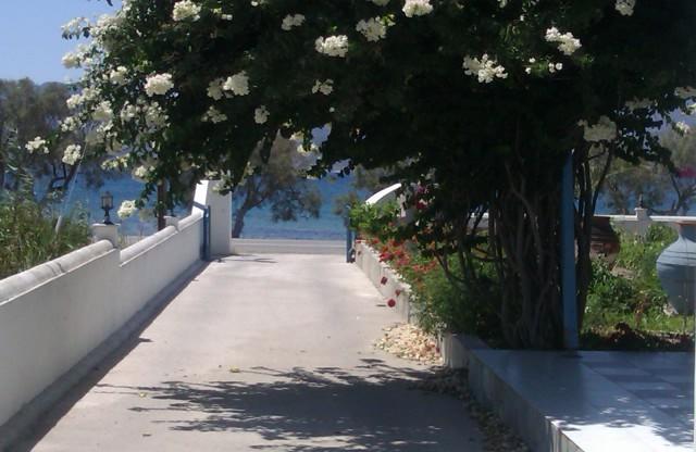 Moustakas Beach Apartments 阿达玛斯 外观 照片